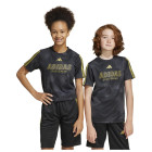 BLACK/GOLDMT